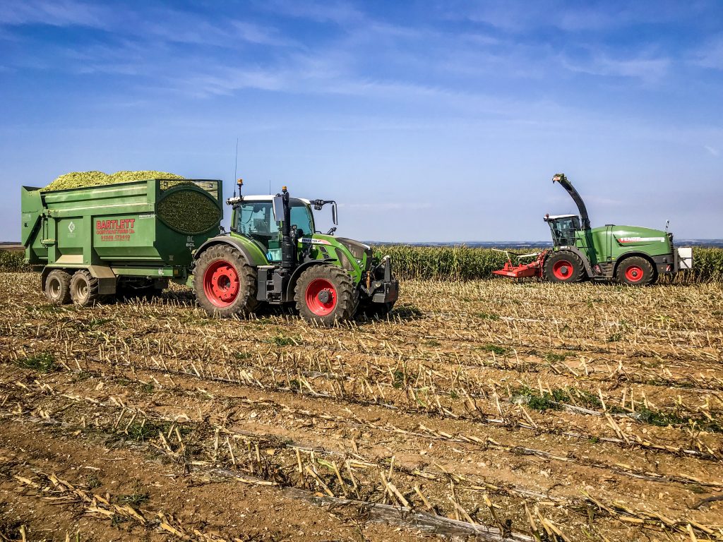 Maize Harvesting - Bartlett Contractors